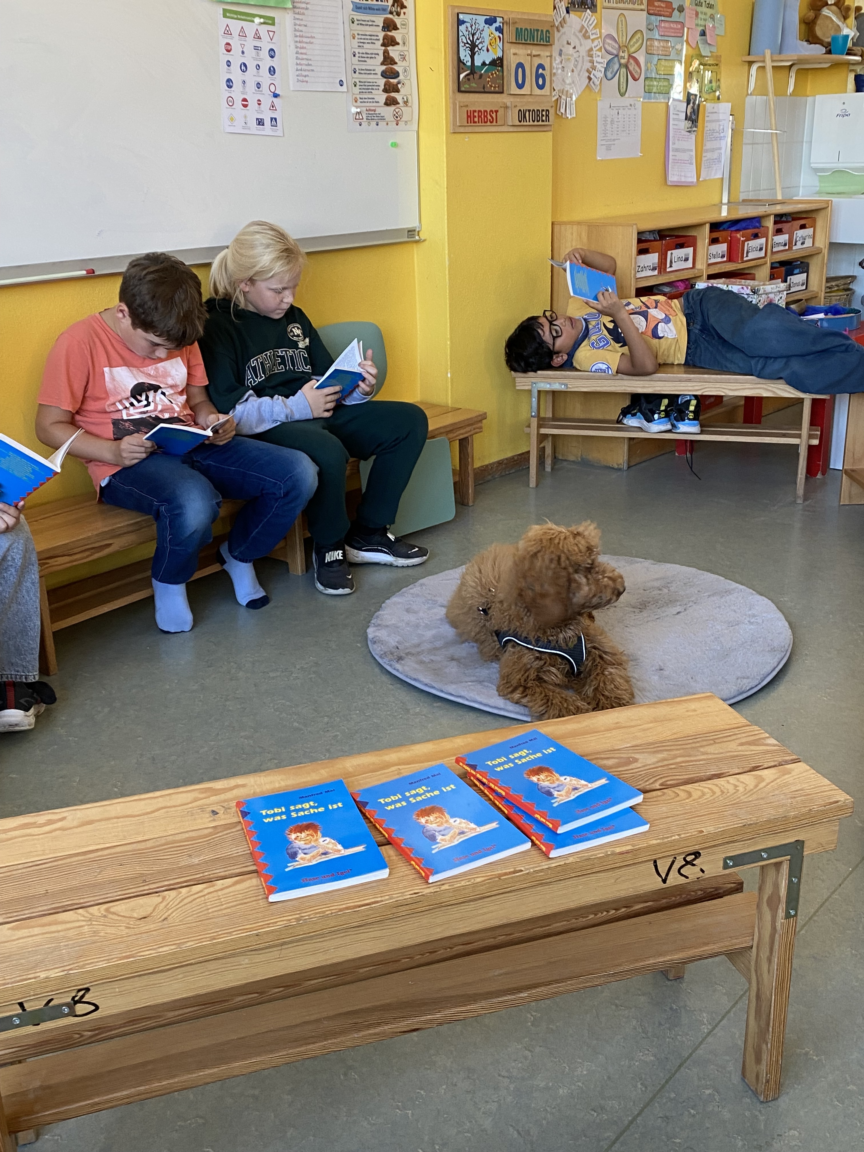 Schulhund Bild 3.jpeg